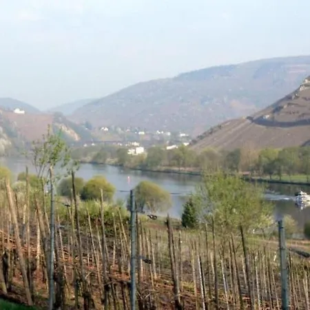 Panorama-cafe Moselgarten ゲストハウス アルフ