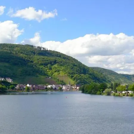 Panorama-cafe Moselgarten Gasthof 3*