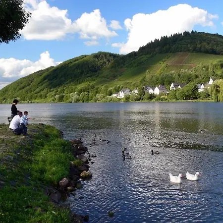 Panorama-cafe Moselgarten ゲストハウス アルフ