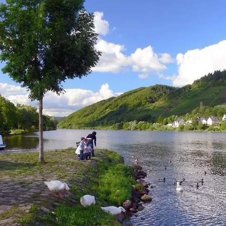 Panorama-cafe Moselgarten Gasthof Alf