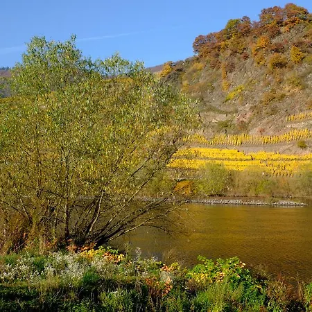 Panorama-cafe Moselgarten Gasthof