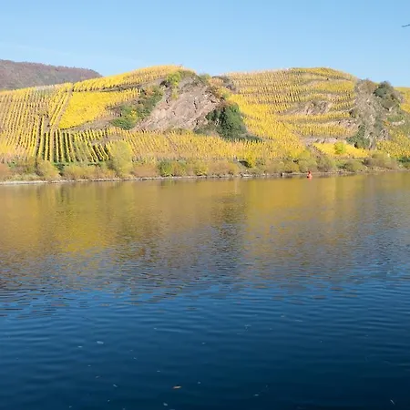 Panorama-cafe Moselgarten ゲストハウス アルフ