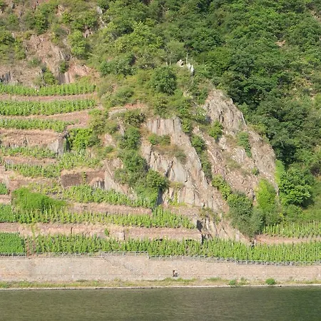 Panorama-cafe Moselgarten Gasthof Alf