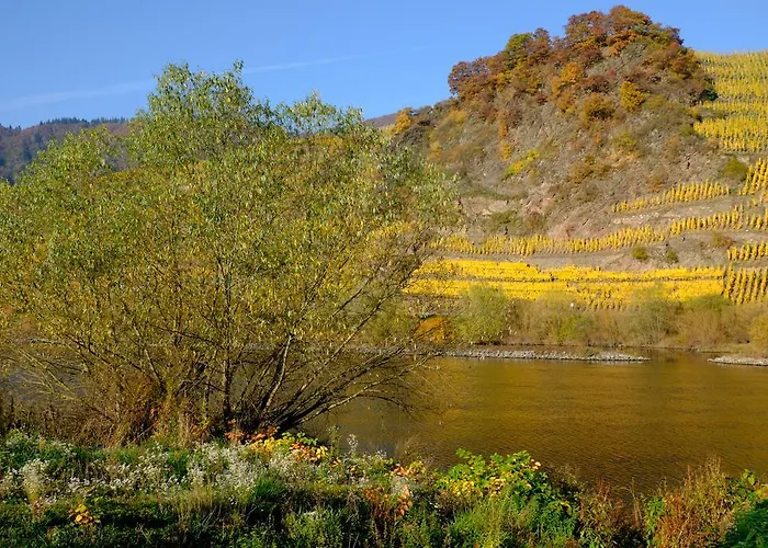 Panorama-cafe Moselgarten Gasthuis
